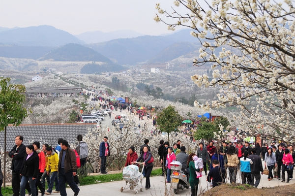 樱桃沟景区